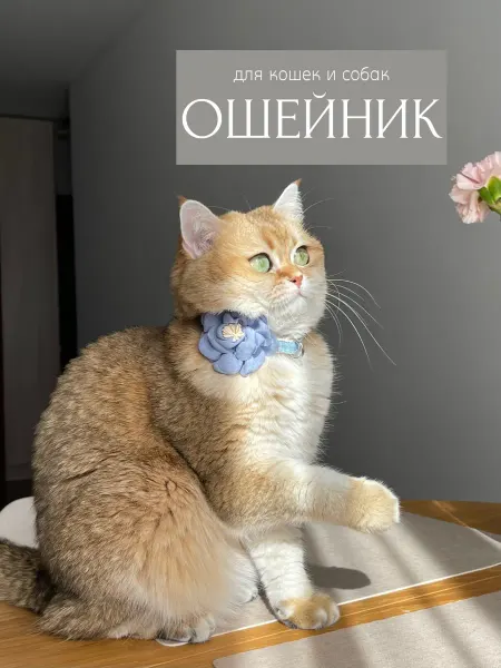 ARR Ошейник с большим цветочком для кошек и собак, серый