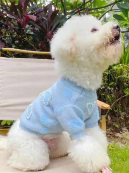 DoggoD Свитер нарядный красивый гламурный для собак и кошек