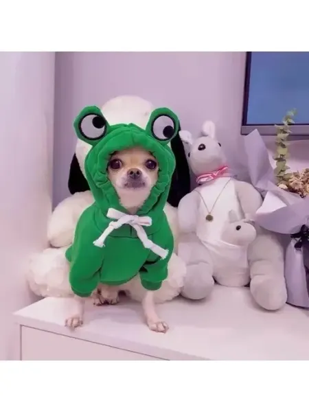 HAPPY_PET Костюм комбинезон для собак и кошек в виде лягушки