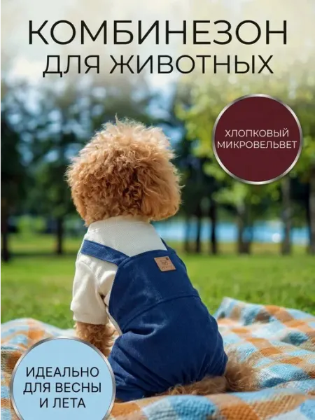 Pepino_pet Комбинезон вельветовый костюм для собак джинсовый