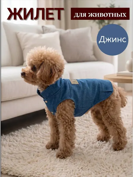 Pepino_pet Одежда для собак мелких пород жилет джинсовый