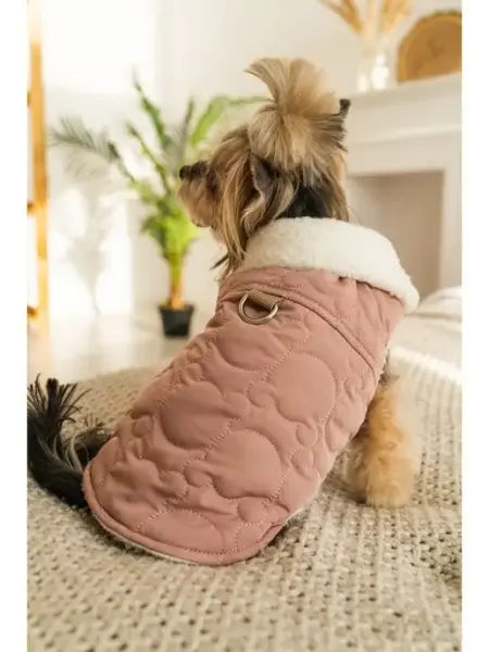 TrandyPets Жилет для собак мелких средних пород
