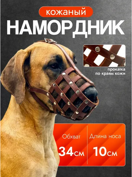 Кадет Намордник для собак средних и больших пород кожаный