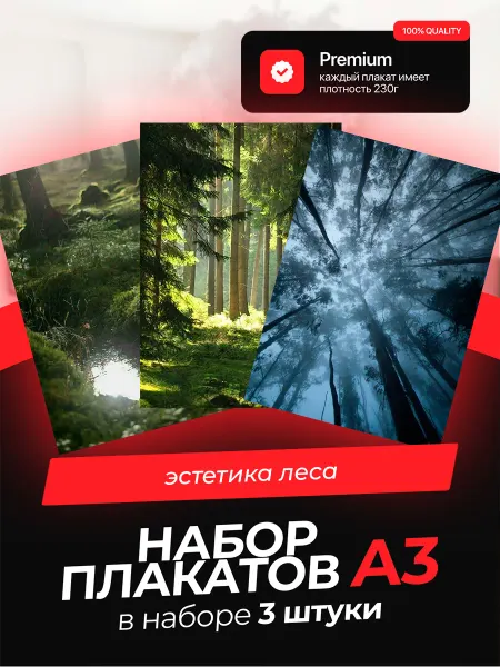 AVAIL Постеры с Эстетикой леса. 3 штуки в комплекте