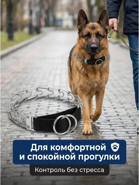 MyPet Ошейник строгий с пряжкой 2,3мм*15"(39 см)