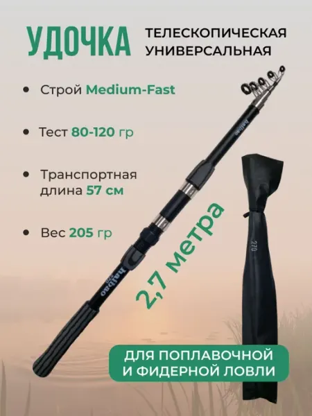 BaizinFish Удочка для рыбалки с кольцами телескопическая 2,7м