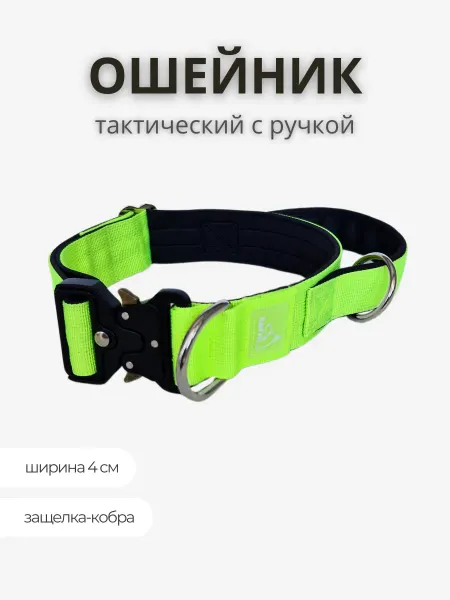 Rafa Petshop Ошейник тактический на металлической пряжке