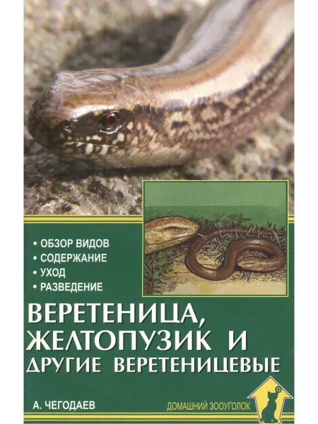 Аквариум Веретеница, желтопузик и другие веретеницевые