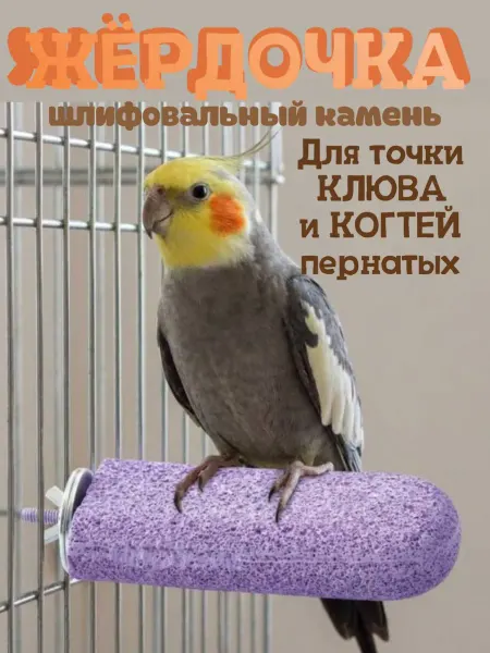 Жёрдочка для стачивания клюва и когтей пернатых