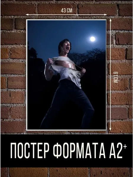 ТипоБереста постер Волчонок,Teen Wolf А2 большой