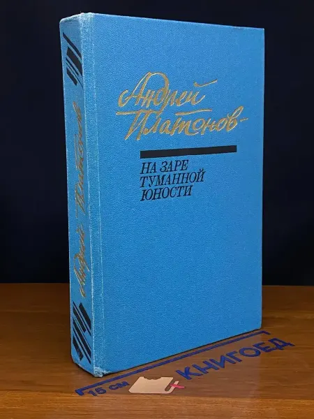 Советская Россия На заре туманной юности — русская классика, проза