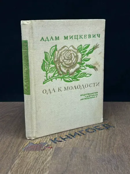 Детская литература Ода к молодости — стихи, Мицкевич