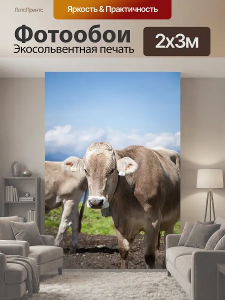 LotsPrints Фотообои "Корова, выкл, австрия" 2x3м