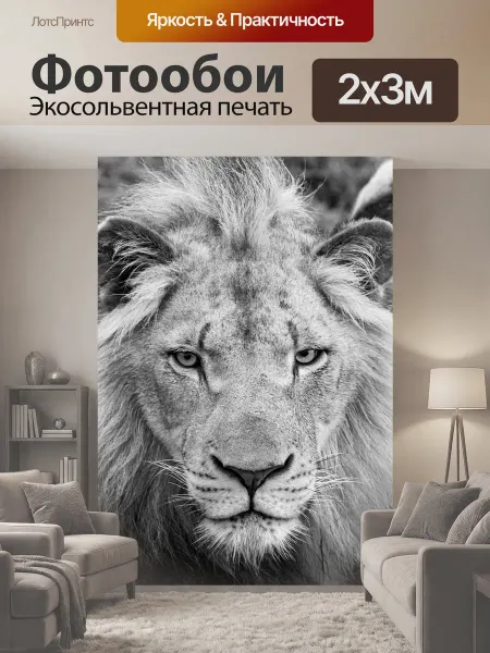 LotsPrints Фотообои "Африке, лев, сафари" 2x3м