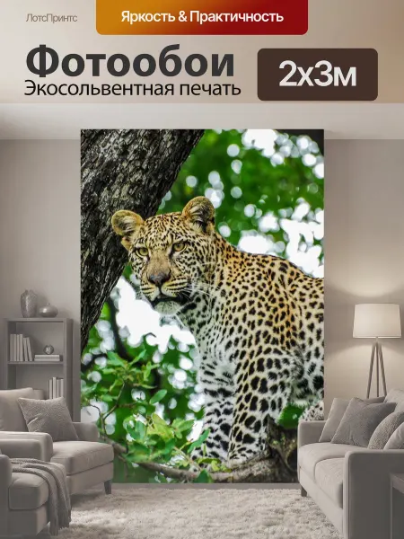 LotsPrints Фотообои "Леопард, большие кошки, кошка" 2x3м