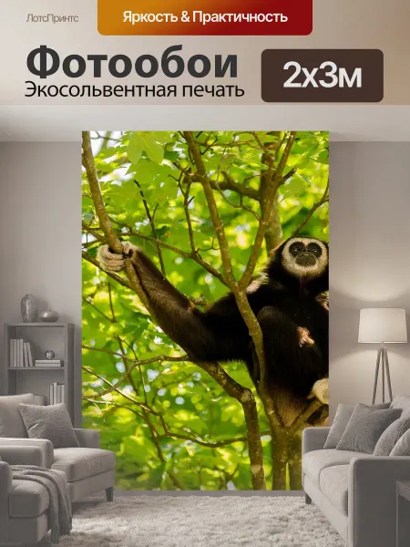 LotsPrints Фотообои "Гиббон, белорукий гиббон, примат" 2x3м