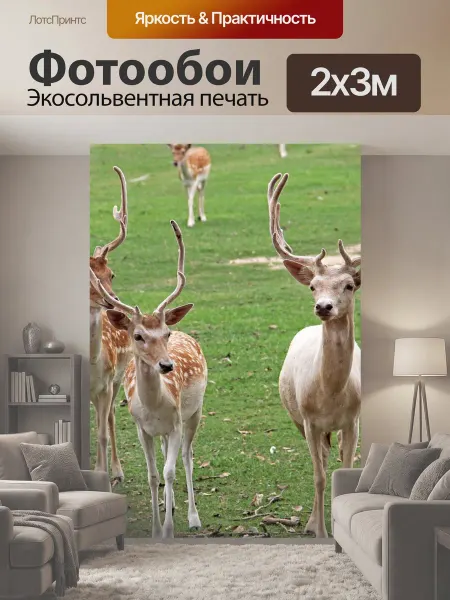 LotsPrints Фотообои "Рога, дикая природа, олень" 2x3м