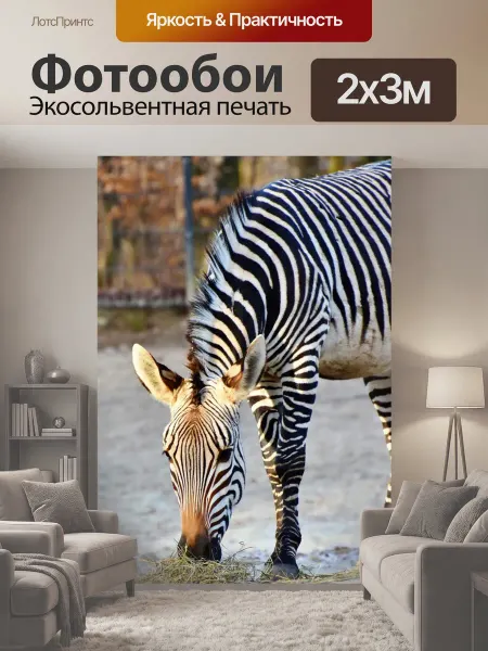 LotsPrints Фотообои "Зебра, зебру, черно-белый" 2x3м