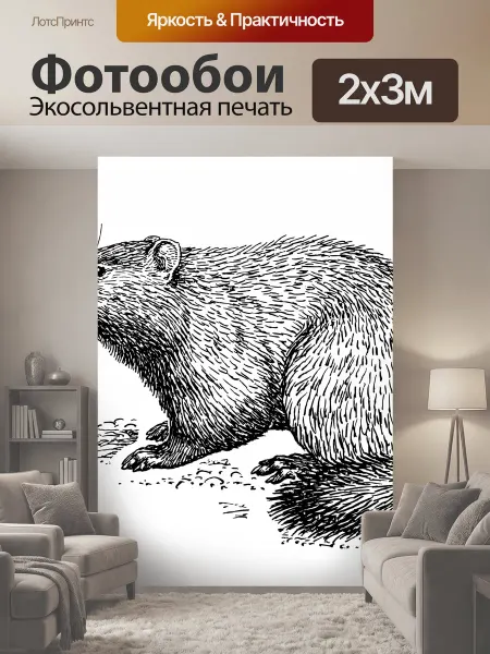 LotsPrints Фотообои "Сурка Иллюстрация Клипарт Иллюстрация." 2x3м