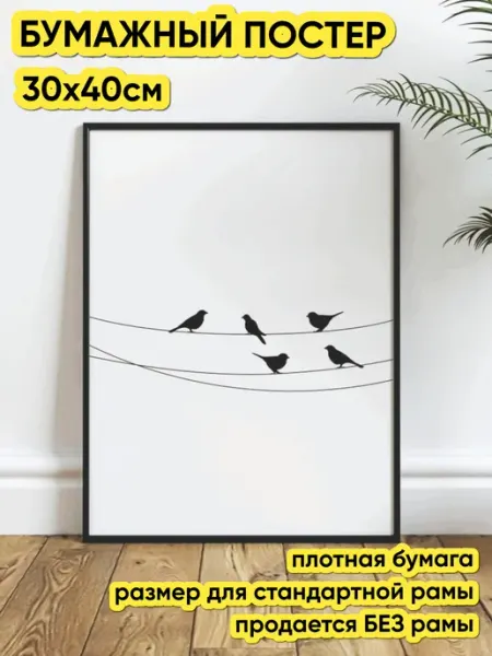 SmileVibes Постер бумажный "Птицы". (30х40 см.)