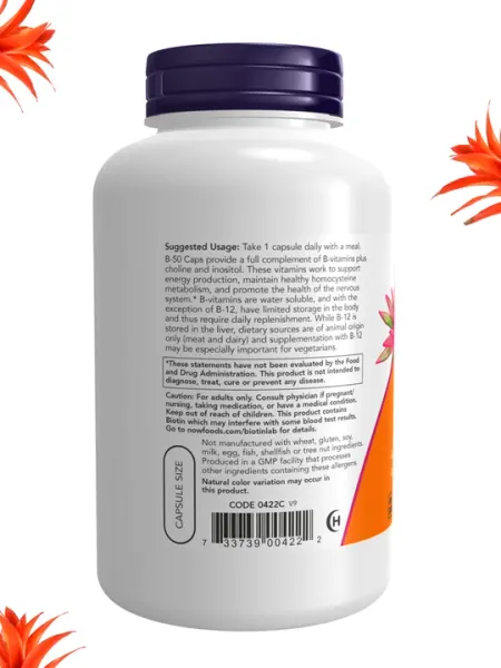 NOW Supplements, Витамин B-50 мг, здоровье нервной системы, Халяль