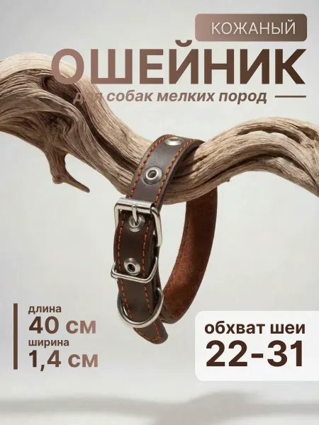 Dogdogs Ошейник для собак мелких пород кожаный