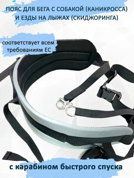 Totem.workshop Светоотражающий пояс для прогулок и бега с собакой