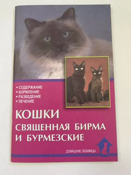 Аквариум Кошки священная бирма и бурмезские