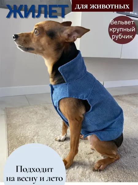 Pepino_pet Одежда для собак мелких пород жилет из вельвета