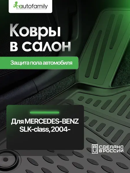 Autofamily Коврики в салон для MERCEDES-BENZ SLK-Class R171 2004- 2 шт