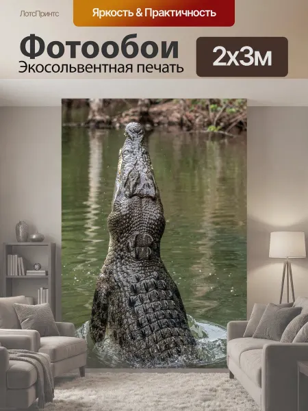 LotsPrints Фотообои "Крокодил, австралия, рептилия" 2x3м