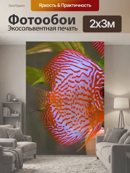 LotsPrints Фотообои "Рыба, аквариум, животные" 2x3м