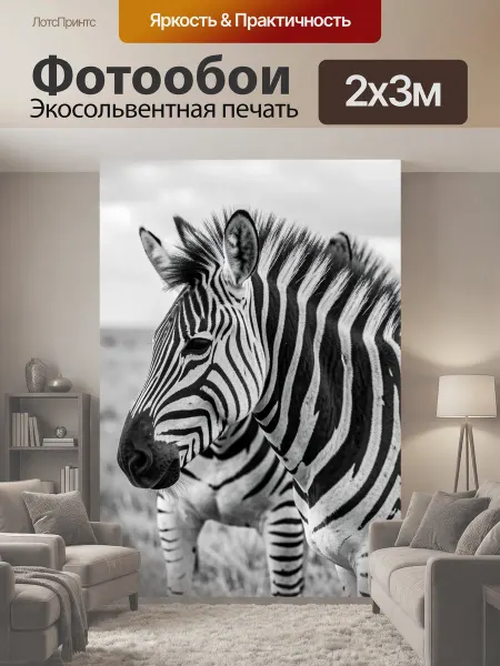 LotsPrints Фотообои "Зебра на африканской саванне. Черно-белый." 2x3м