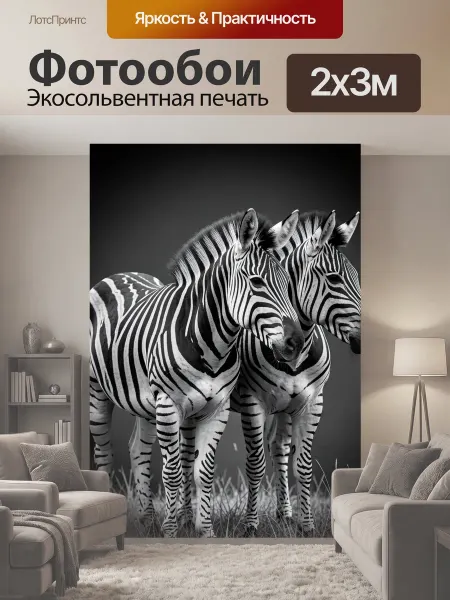 LotsPrints Фотообои "Две зебры на фоне темного фона." 2x3м