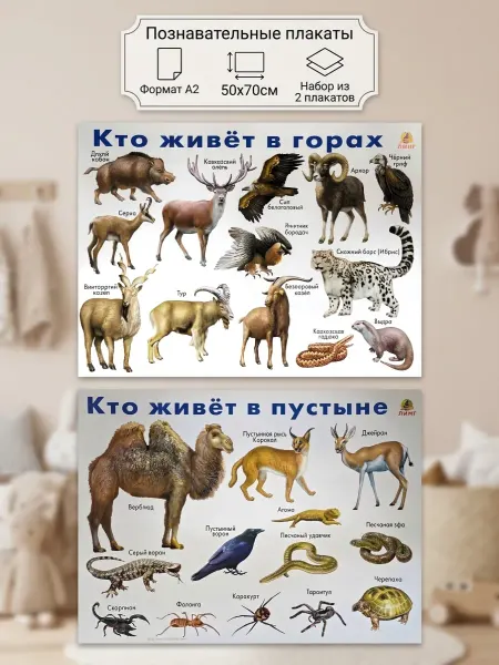ЛИНГ Плакаты Животные гор и пустыни комплект