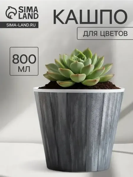 Стильное пластиковое кашпо для цветочных композиций