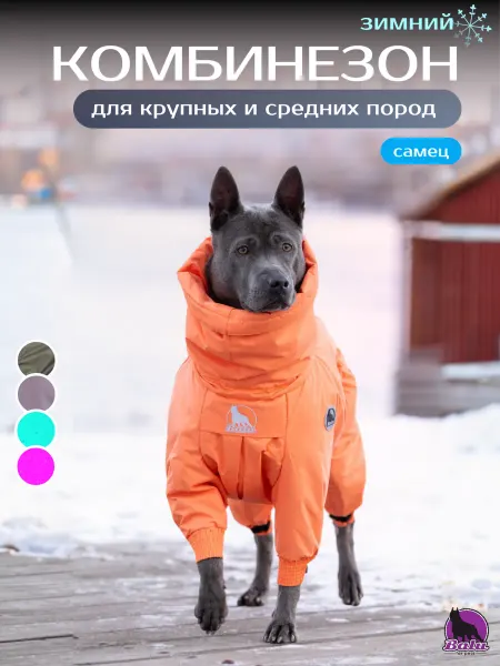 Balu for dogs Зимний комбинезон для собак (для кобелей)