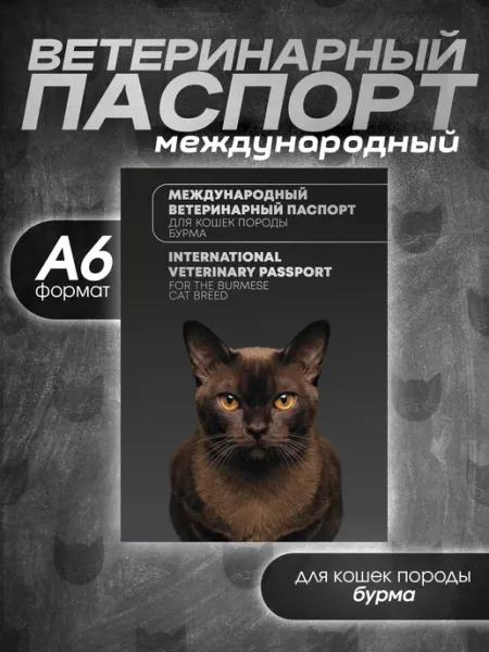 Bamboook Ветеринарный паспорт для кошек породы бурма