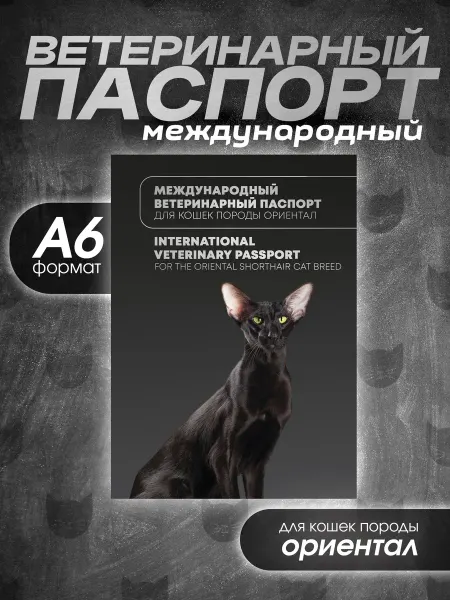 Bamboook Ветеринарный паспорт для кошек породы ориентал