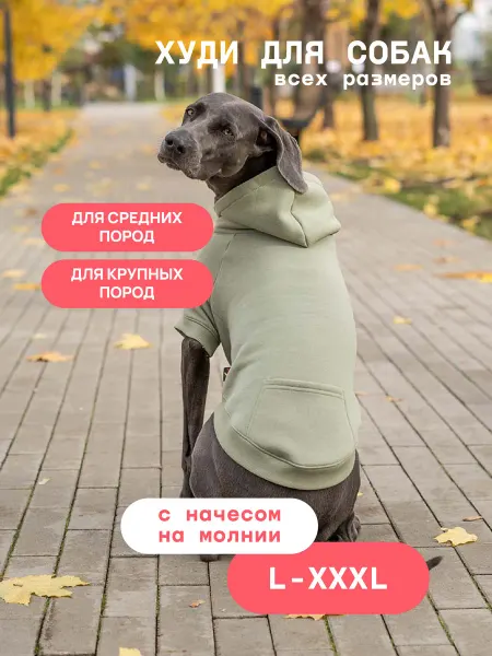 Bananadog Одежда для собак средних и крупных пород. Толстовка