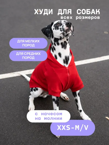 Bananadog Одежда для собак мелких и средних пород. Толстовка
