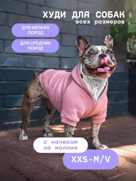 Bananadog Одежда для собак мелких и средних. Толстовка