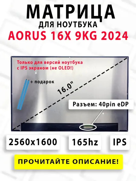 Матрица для ноутбука AORUS 16X 9KG 2024