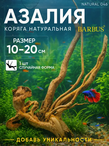 Barbus Натуральная коряга для аквариума азалия 10-20 см