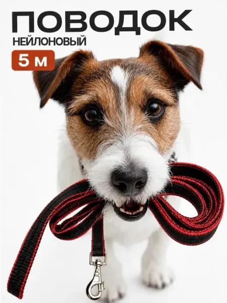 KINGDOM pets Поводок для крупных пород брезентовый 5 м черно-красный