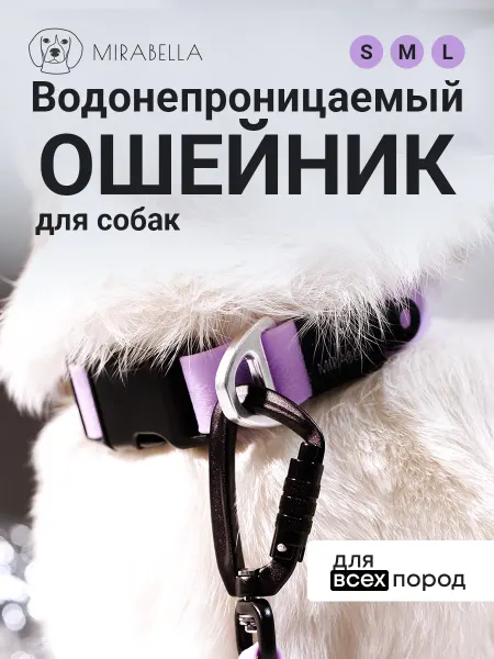 Mirabella dog store Водонепроницаемый ошейник для собак