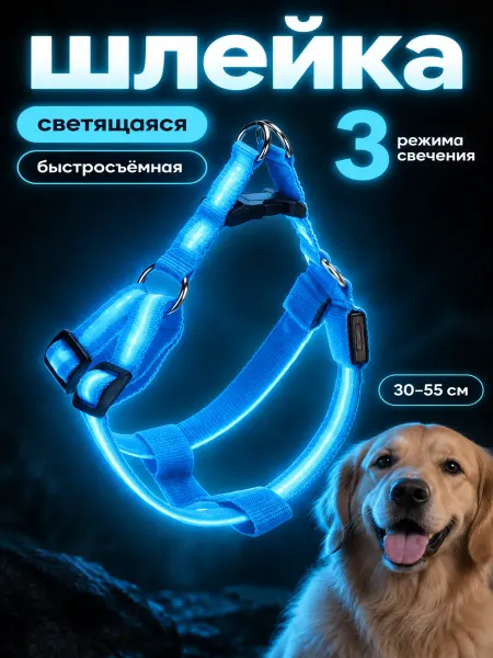 LED Шлейка светящаяся (LED), универсальная голубая