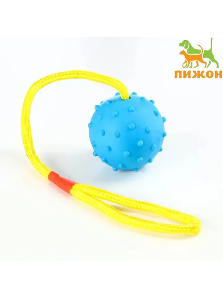 Пижон Мяч на веревке для собак, активные игры, подарок на праздник