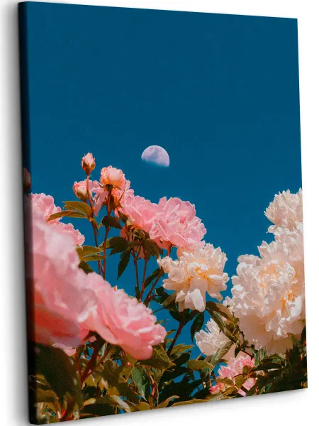 Art on Canvas Эстетичный кадр Картина по номерам 40х50 см