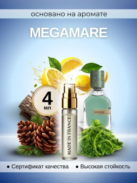Made in Franсе Megamare мужской Мегамара парфюм по мотивам